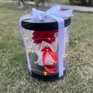 Little Love Big Feelings โ Cute Valentine Gift